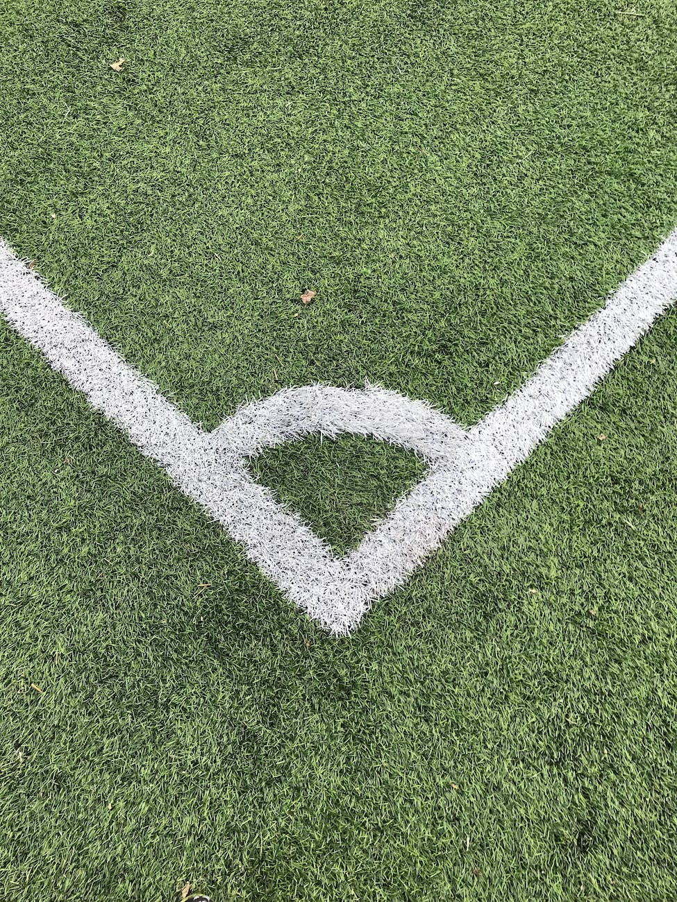 high angle photo of grass field